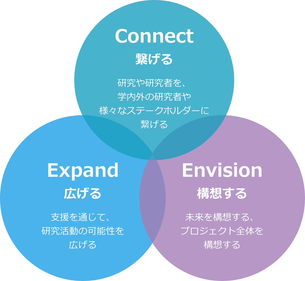 Connect Expand Envision