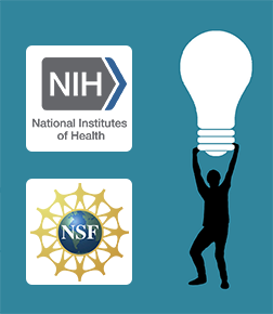 米国グラント（NIH, NSF等）応募支援ワークショップ